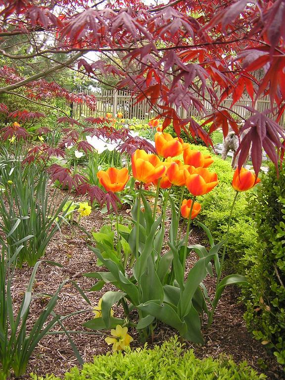 Shorecrest Bed And Breakfast Southold Εξωτερικό φωτογραφία